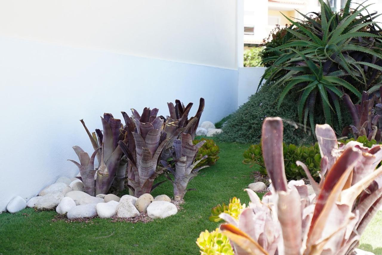 Villa Mateus アルヴォル エクステリア 写真